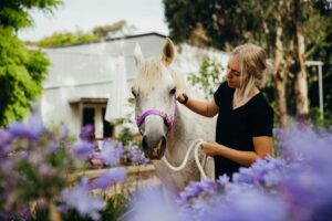 The Equine Psychotherapy Institute girl with horse