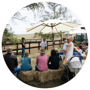 equine therapist training session outdoors