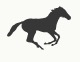 EQUINE ICON