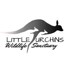 little urchings wildlife sanctuary logo